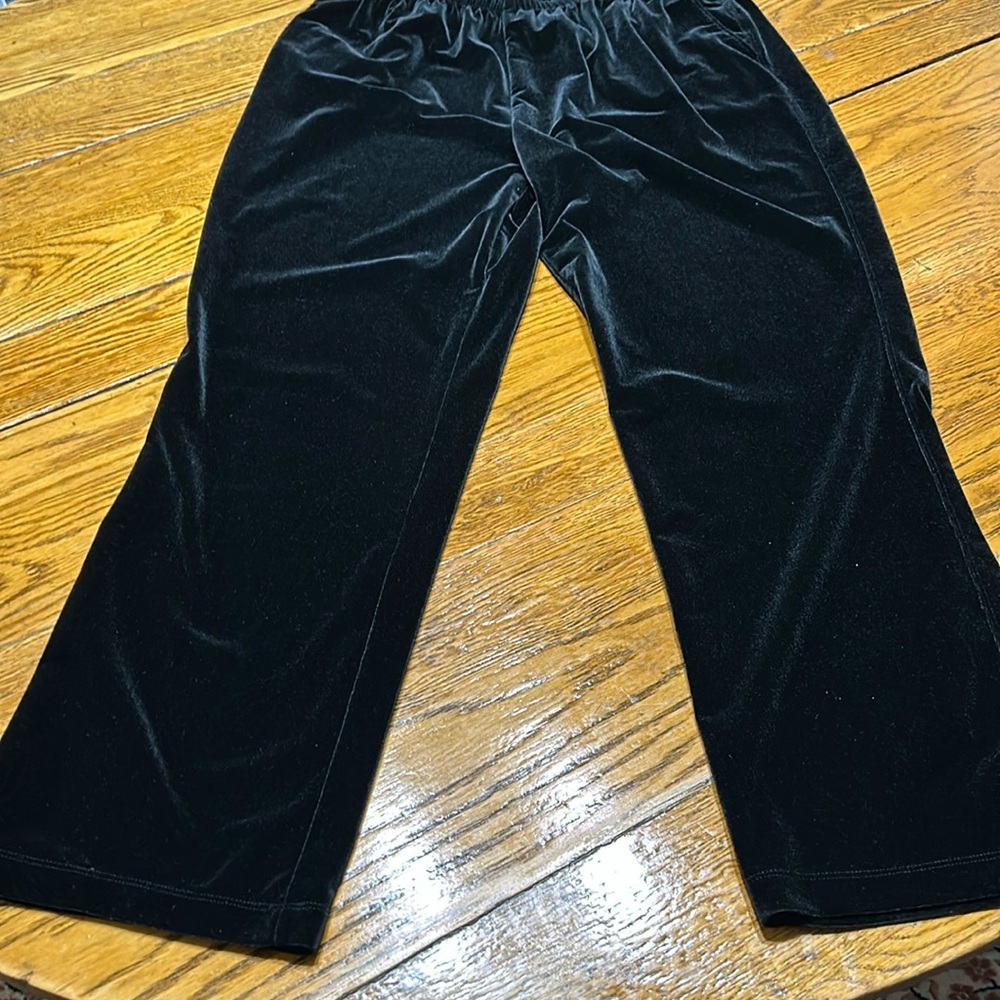 Lands’ End black velour elastic waist pants. Great condition. Size 14-16.